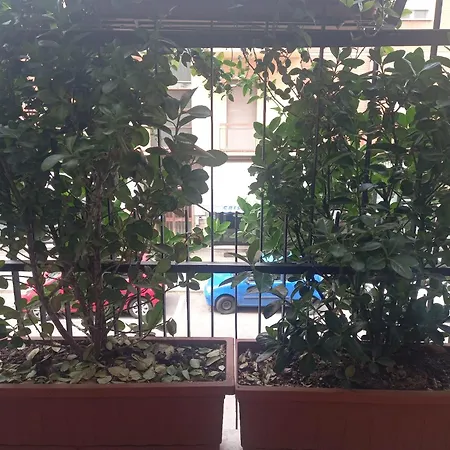 Casa Floris Appartement